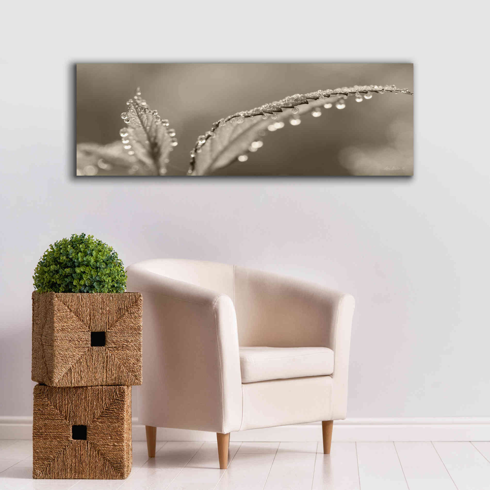 'Dewey Morning' by Lori Deiter, Canvas Wall Art,60 x 20