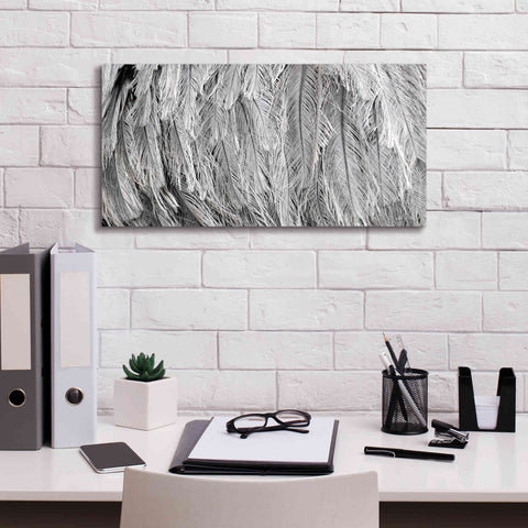 Image of 'Silver Feathers' by Lori Deiter, Canvas Wall Art,24 x 12