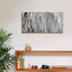 'Silver Feathers' by Lori Deiter, Canvas Wall Art,24 x 12