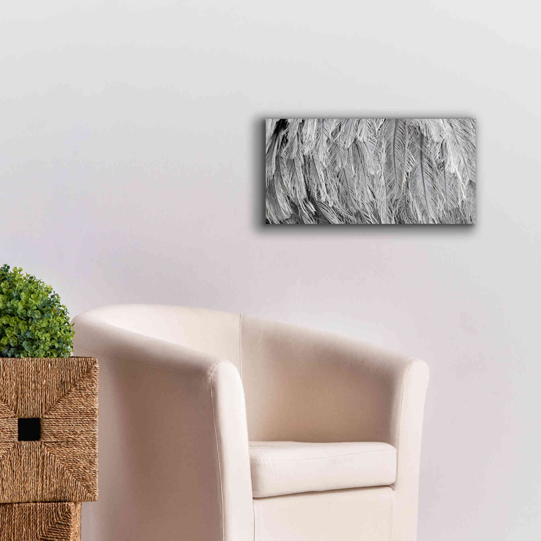 'Silver Feathers' by Lori Deiter, Canvas Wall Art,24 x 12