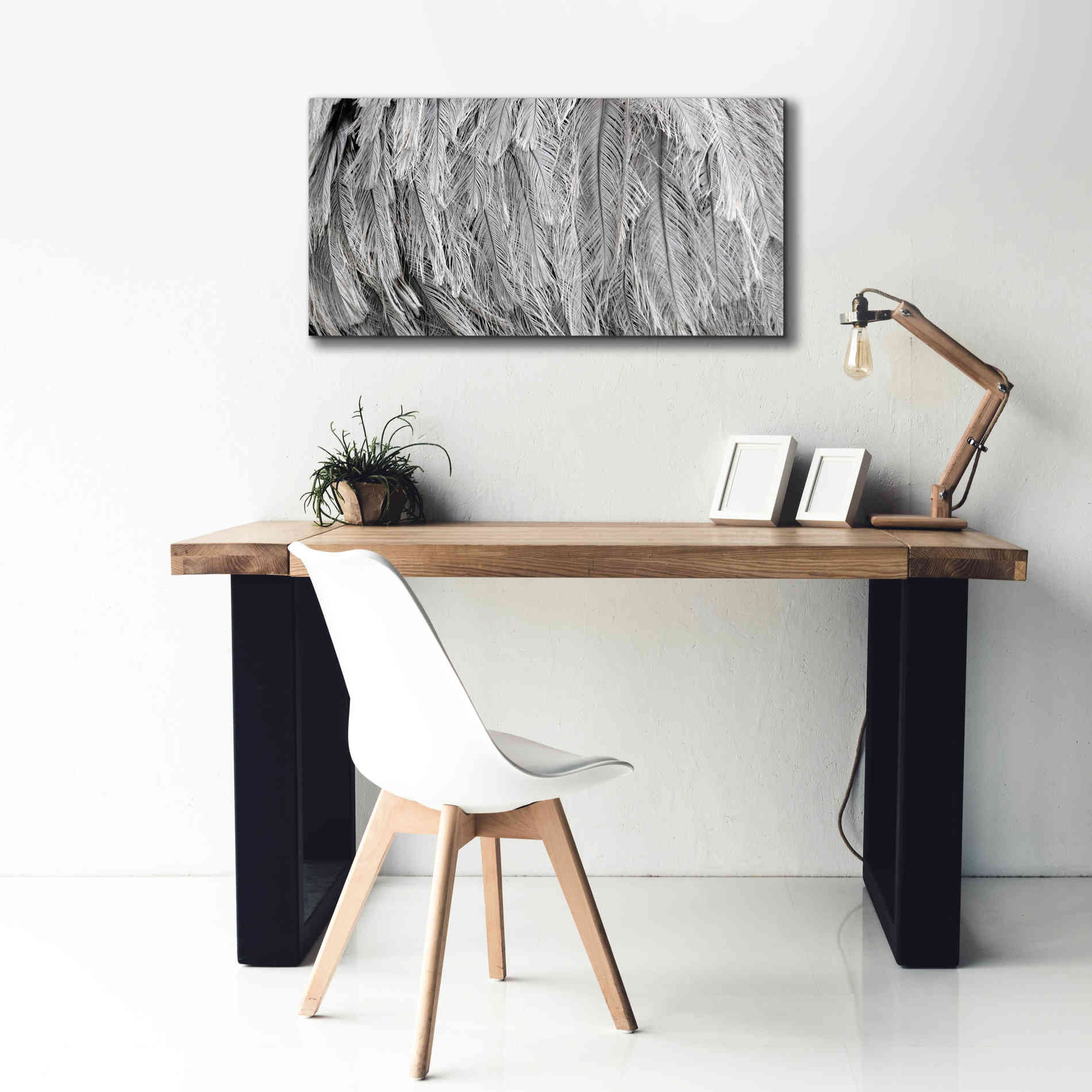 'Silver Feathers' by Lori Deiter, Canvas Wall Art,40 x 20