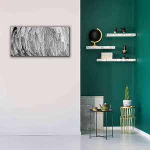 'Silver Feathers' by Lori Deiter, Canvas Wall Art,40 x 20