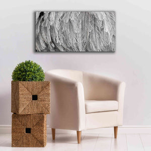 'Silver Feathers' by Lori Deiter, Canvas Wall Art,40 x 20