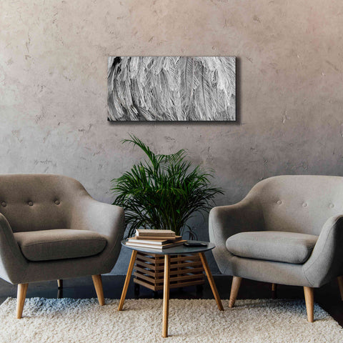 Image of 'Silver Feathers' by Lori Deiter, Canvas Wall Art,40 x 20