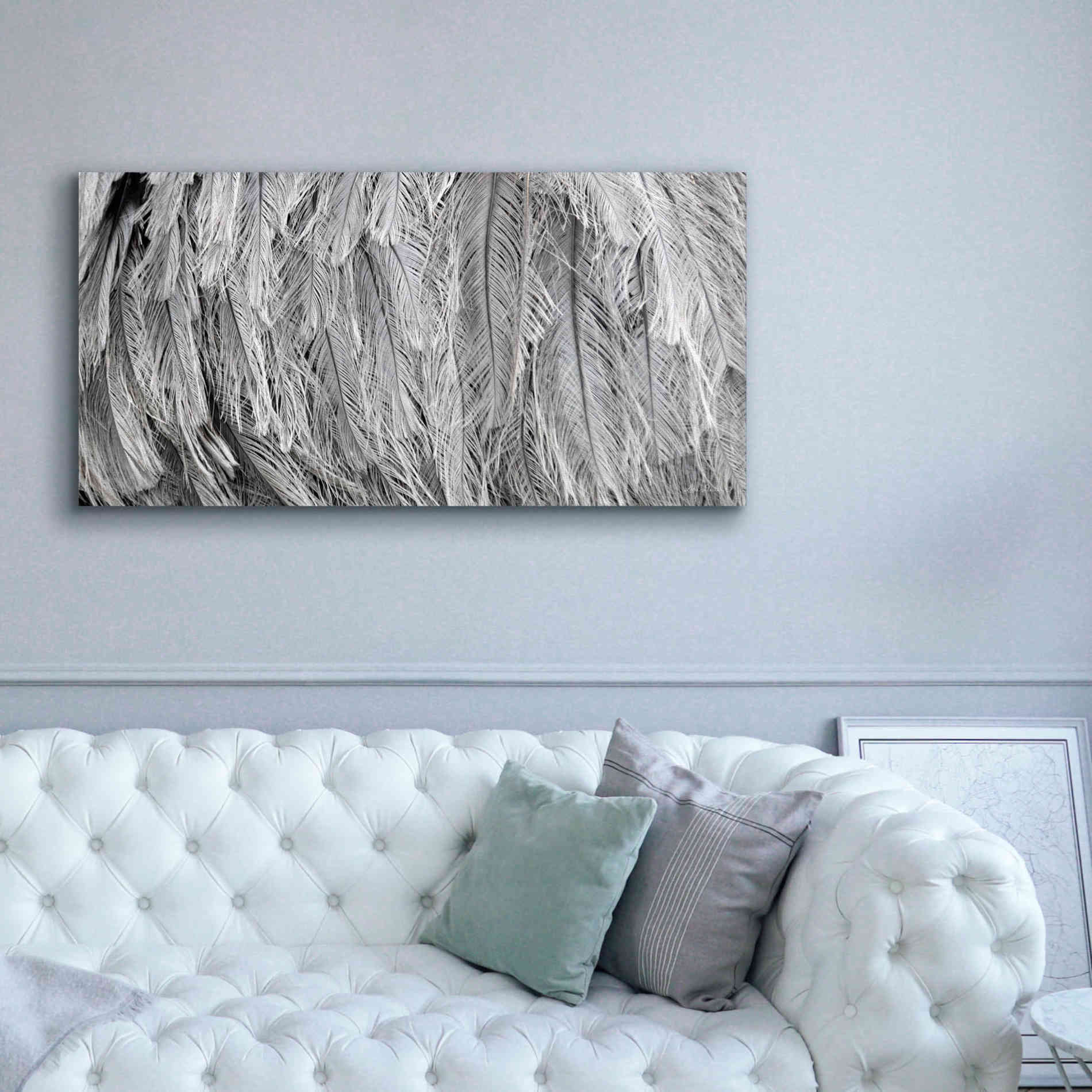 'Silver Feathers' by Lori Deiter, Canvas Wall Art,60 x 30