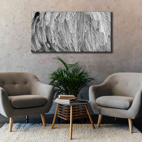 Image of 'Silver Feathers' by Lori Deiter, Canvas Wall Art,60 x 30