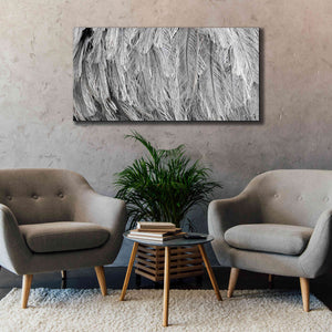 'Silver Feathers' by Lori Deiter, Canvas Wall Art,60 x 30