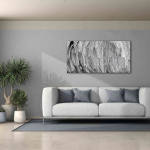 'Silver Feathers' by Lori Deiter, Canvas Wall Art,60 x 30