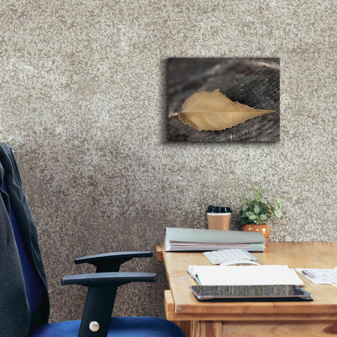 Image of 'Natural Gold Leaf' by Lori Deiter, Canvas Wall Art,16 x 12