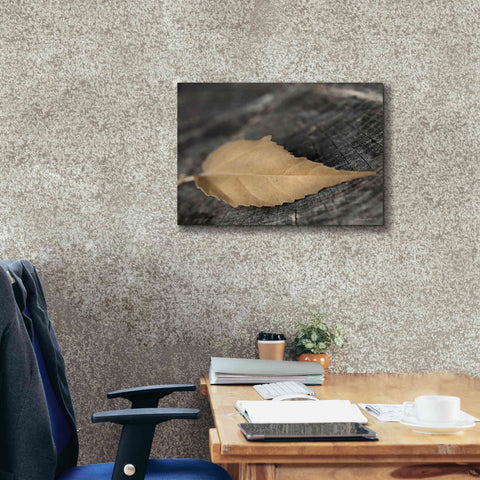 Image of 'Natural Gold Leaf' by Lori Deiter, Canvas Wall Art,24 x 20