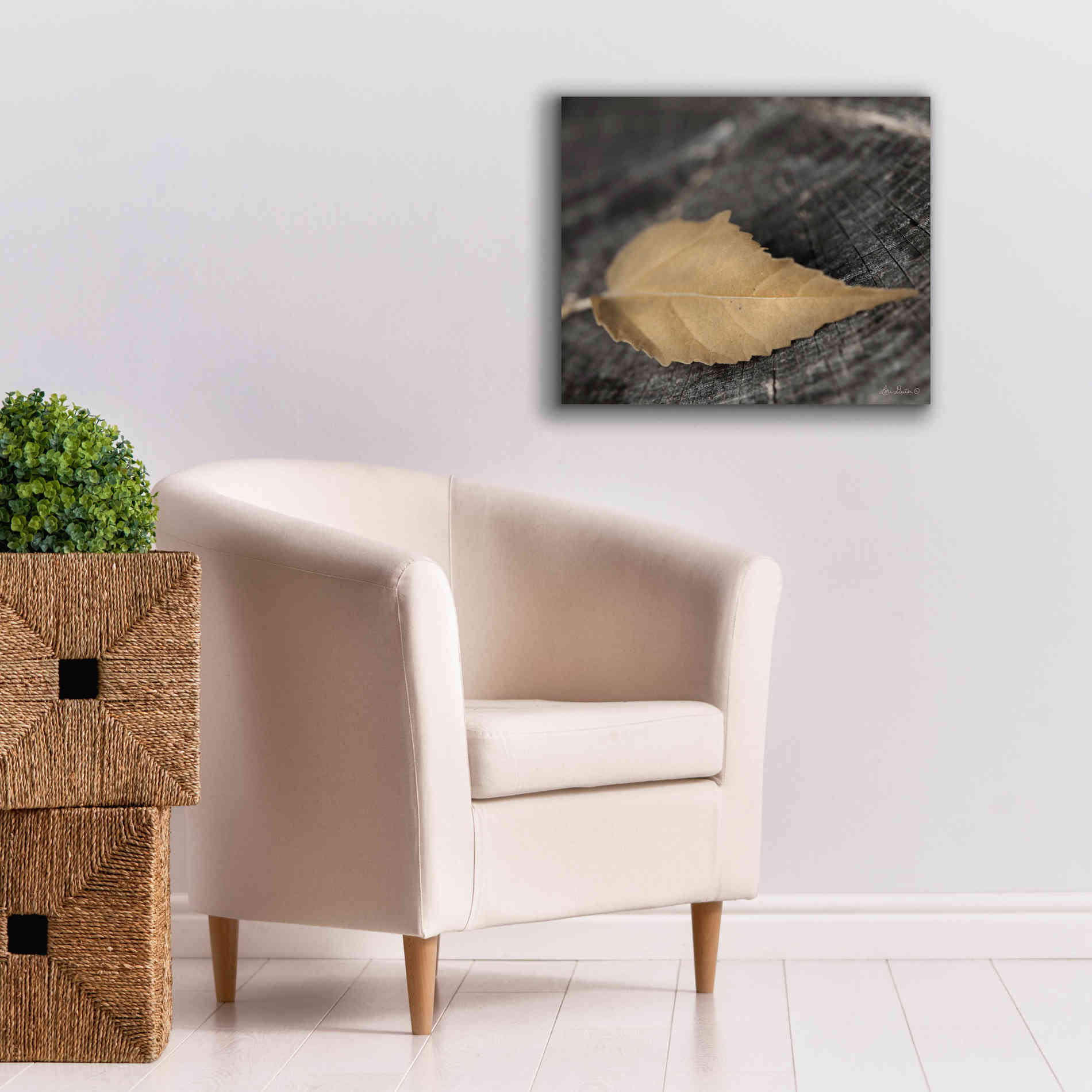 'Natural Gold Leaf' by Lori Deiter, Canvas Wall Art,24 x 20