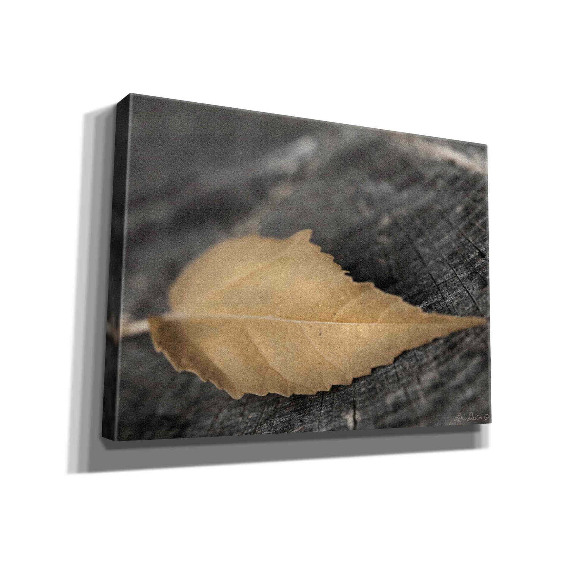 'Natural Gold Leaf' by Lori Deiter, Canvas Wall Art