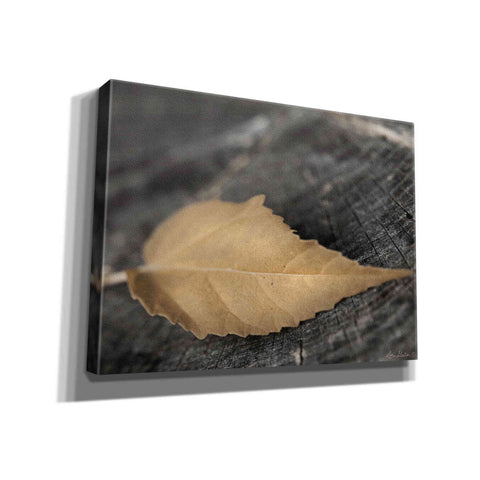 Image of 'Natural Gold Leaf' by Lori Deiter, Canvas Wall Art