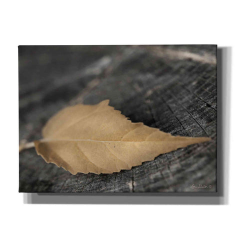 Image of 'Natural Gold Leaf' by Lori Deiter, Canvas Wall Art
