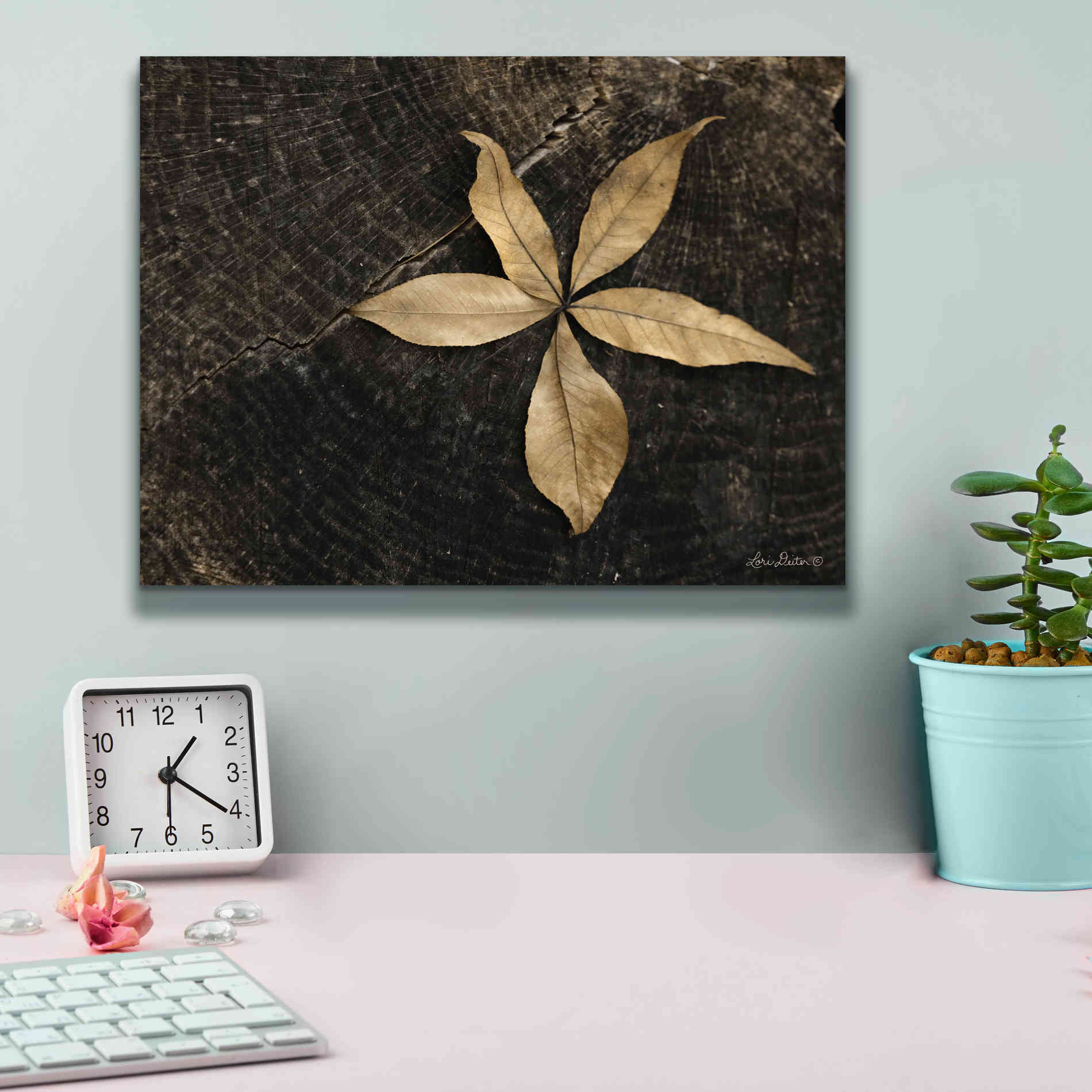 'Natural Buckeye Leaf' by Lori Deiter, Canvas Wall Art,16 x 12