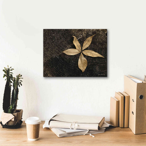 Image of 'Natural Buckeye Leaf' by Lori Deiter, Canvas Wall Art,16 x 12