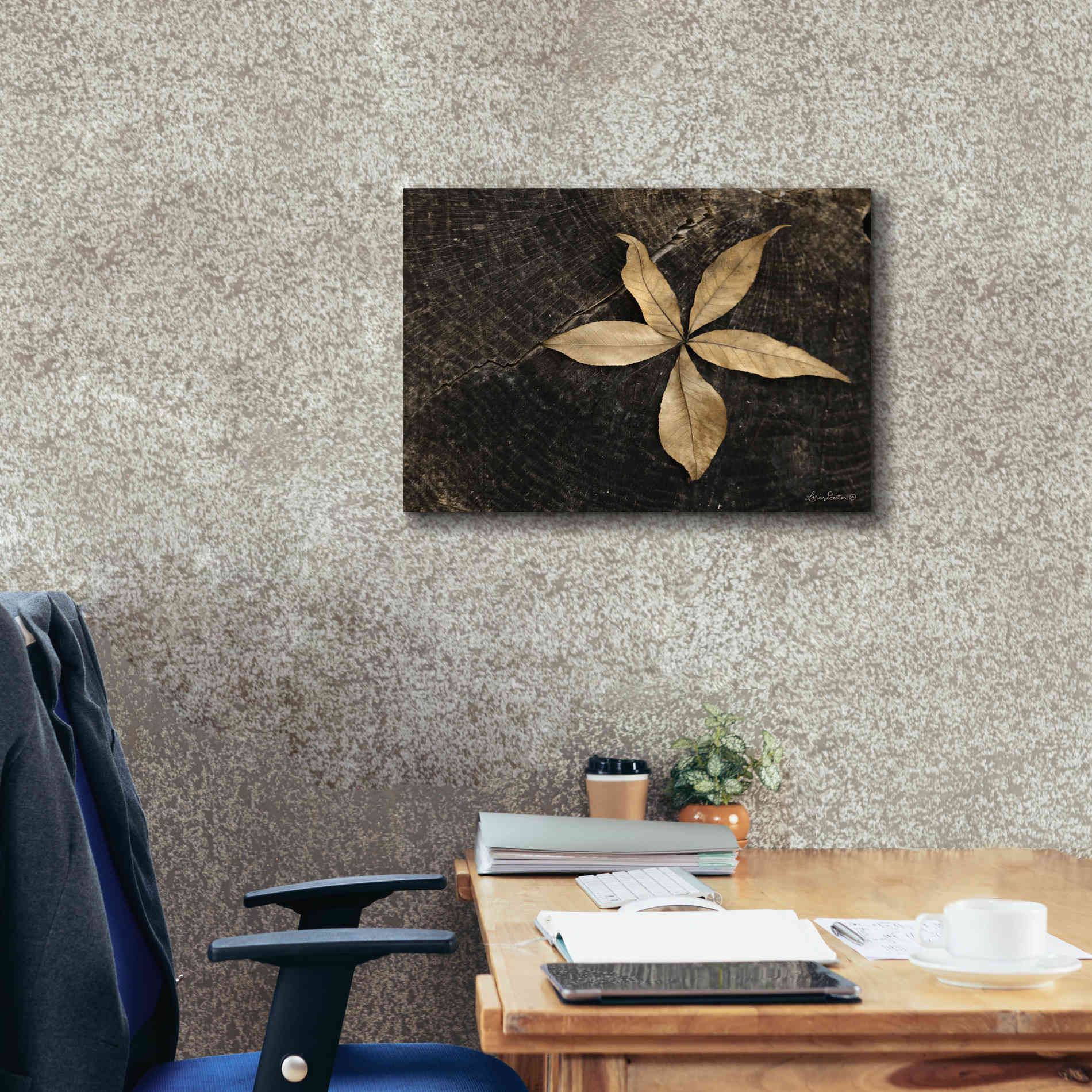 'Natural Buckeye Leaf' by Lori Deiter, Canvas Wall Art,24 x 20