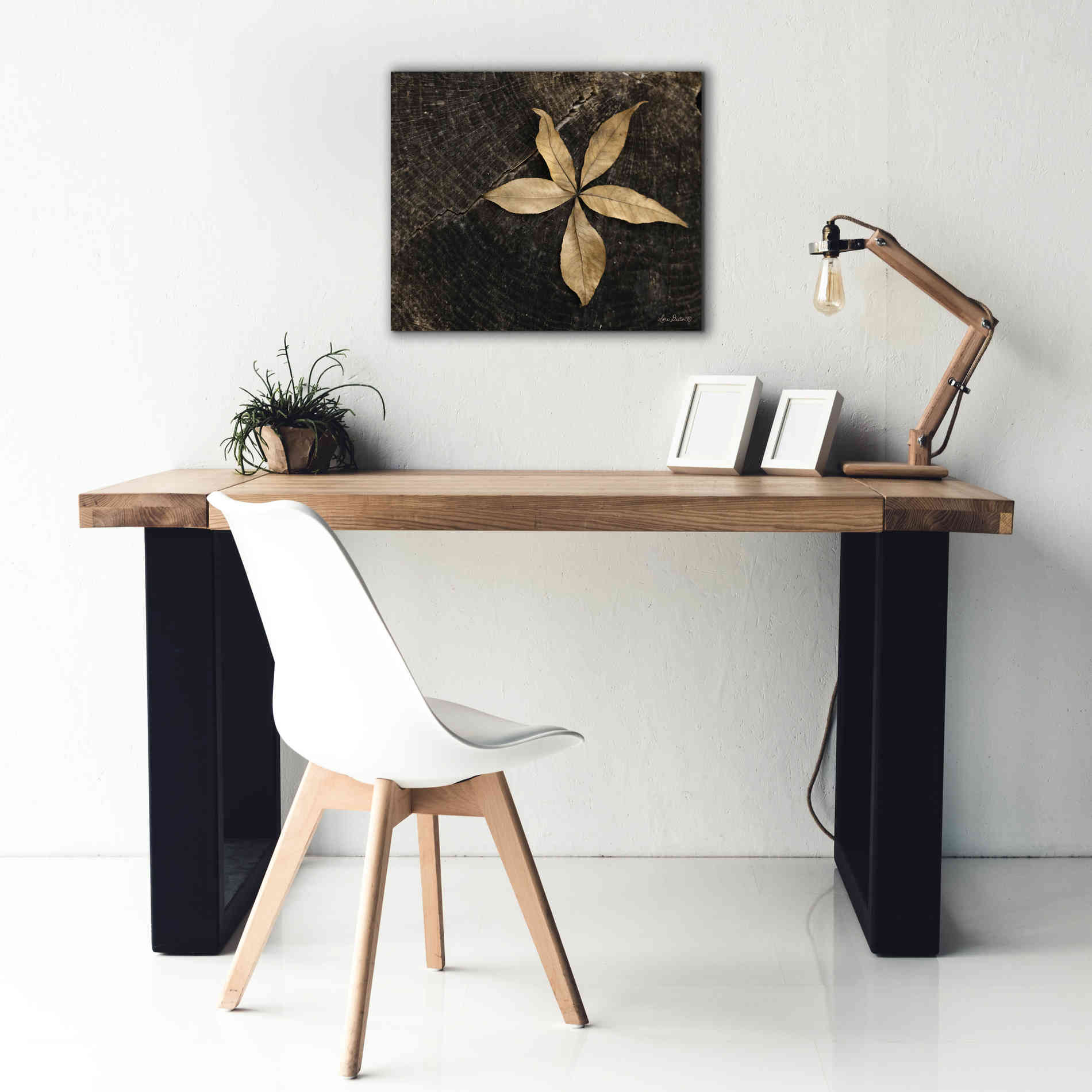'Natural Buckeye Leaf' by Lori Deiter, Canvas Wall Art,24 x 20