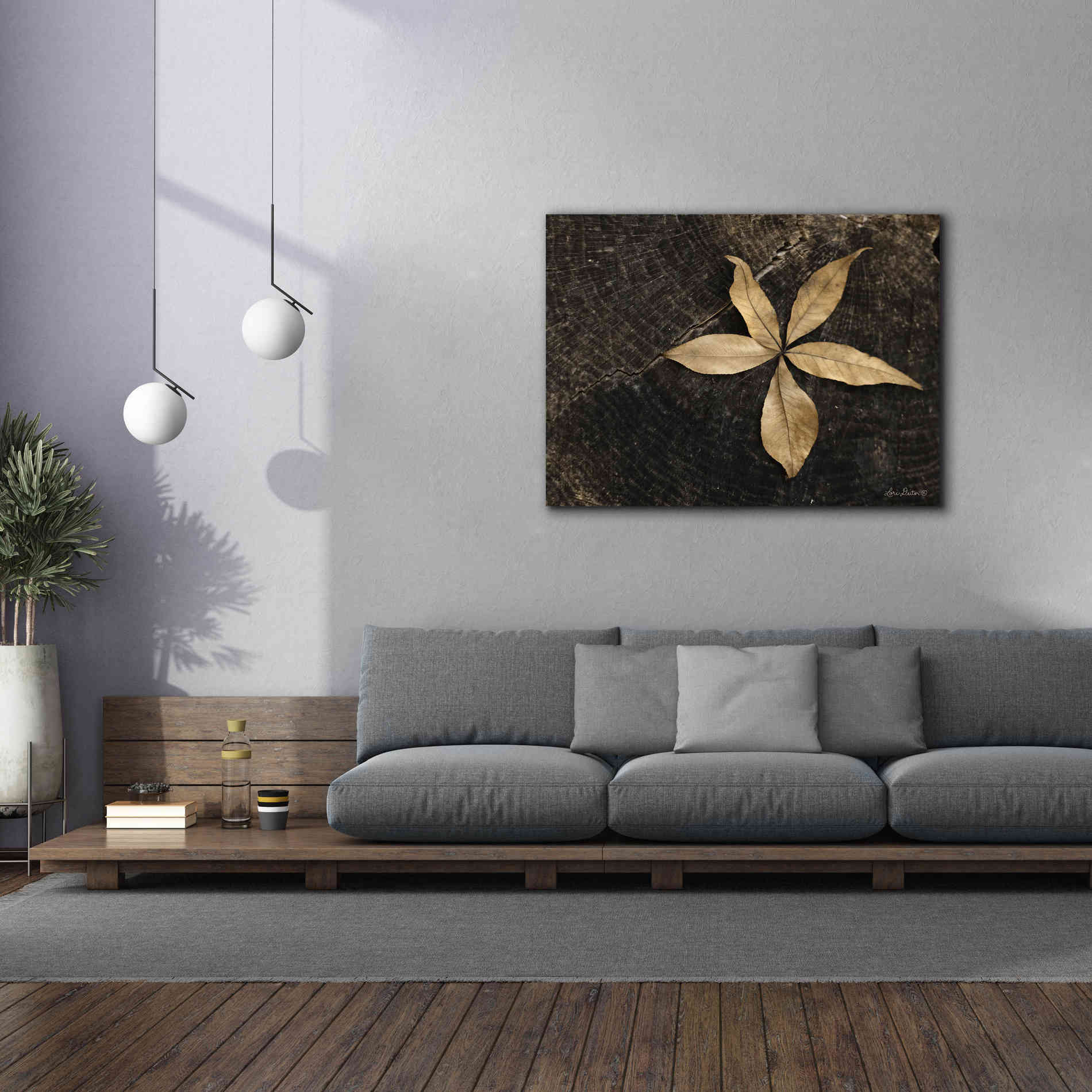 'Natural Buckeye Leaf' by Lori Deiter, Canvas Wall Art,54 x 40