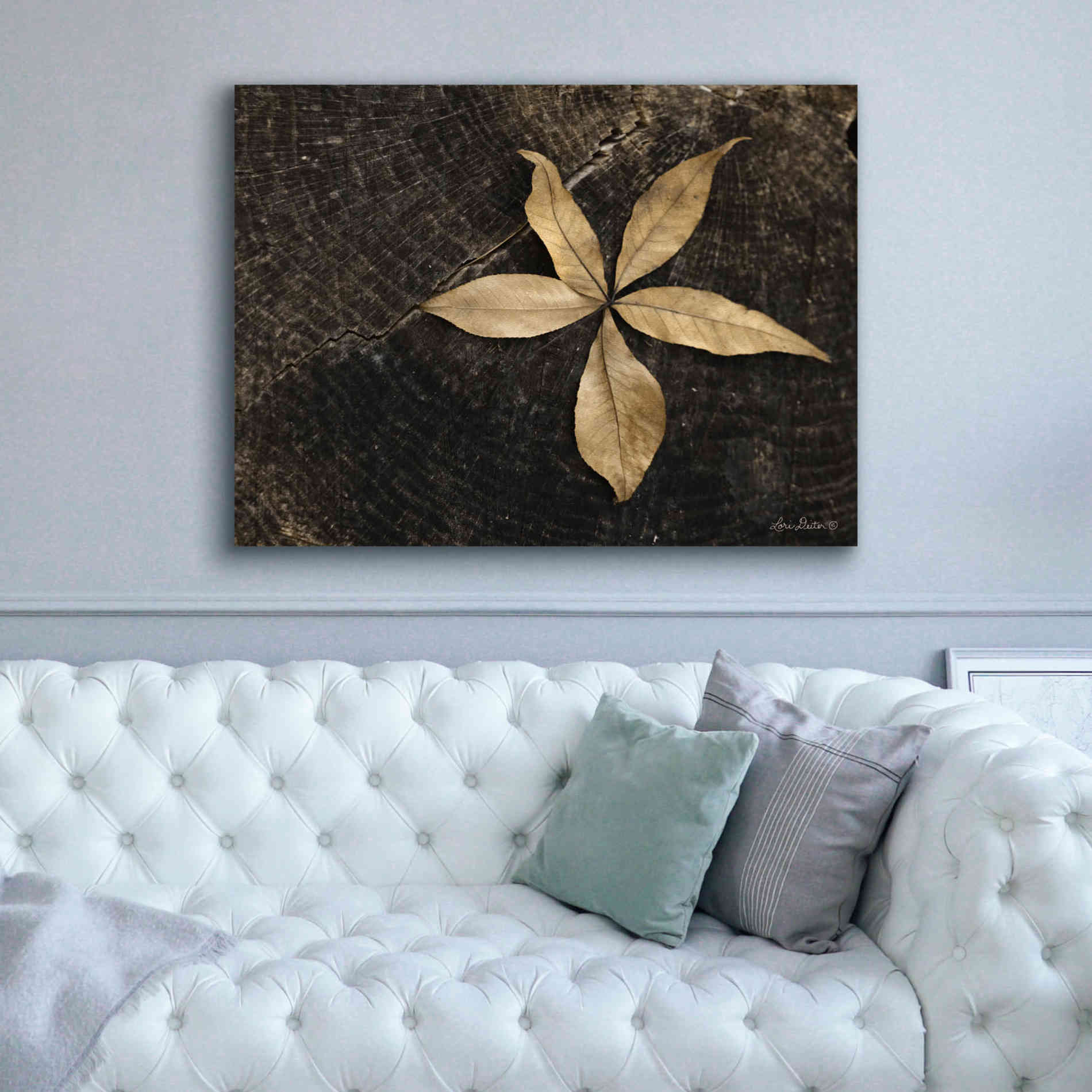 'Natural Buckeye Leaf' by Lori Deiter, Canvas Wall Art,54 x 40
