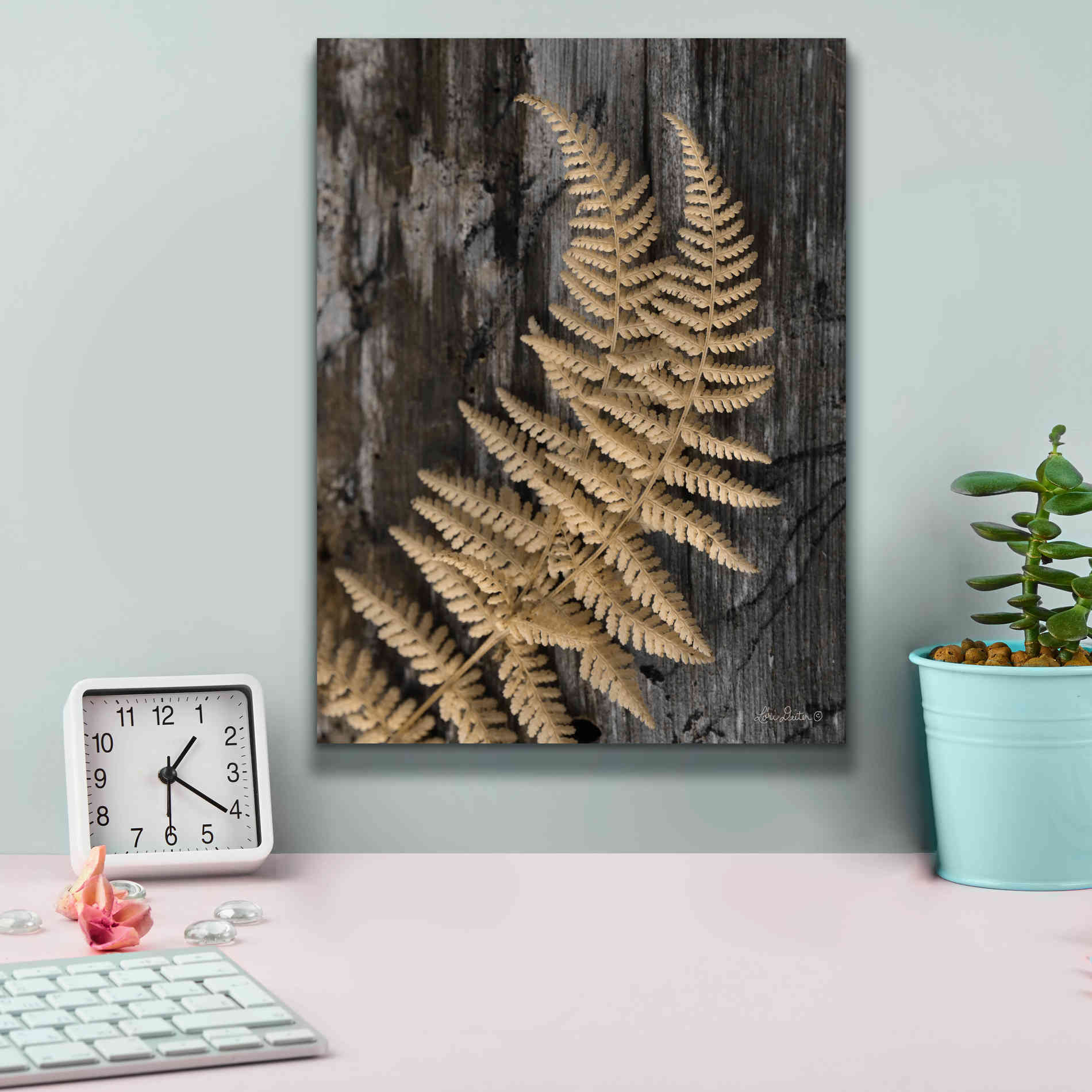 'Natural Gold Fern' by Lori Deiter, Canvas Wall Art,12 x 16