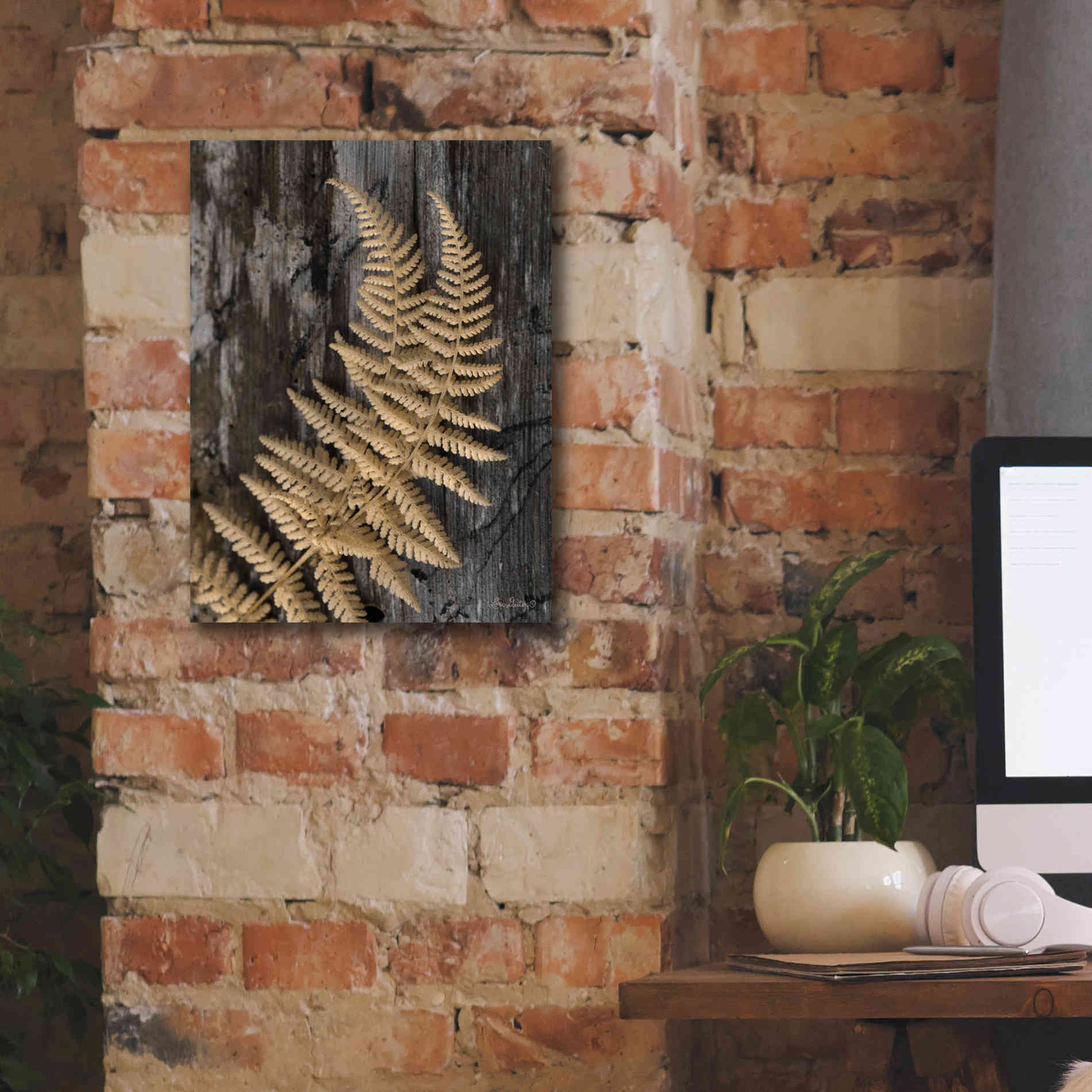 'Natural Gold Fern' by Lori Deiter, Canvas Wall Art,12 x 16