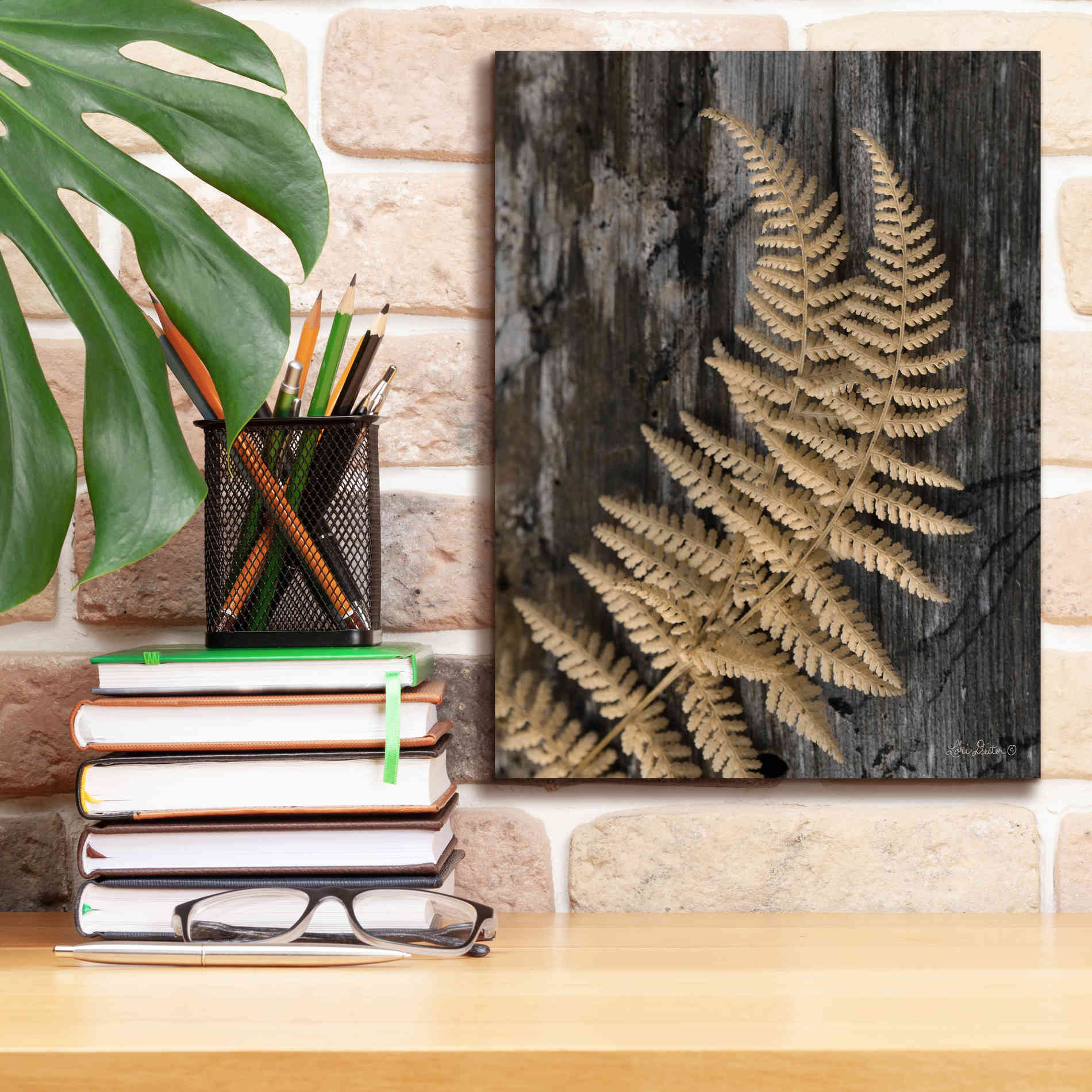 'Natural Gold Fern' by Lori Deiter, Canvas Wall Art,12 x 16
