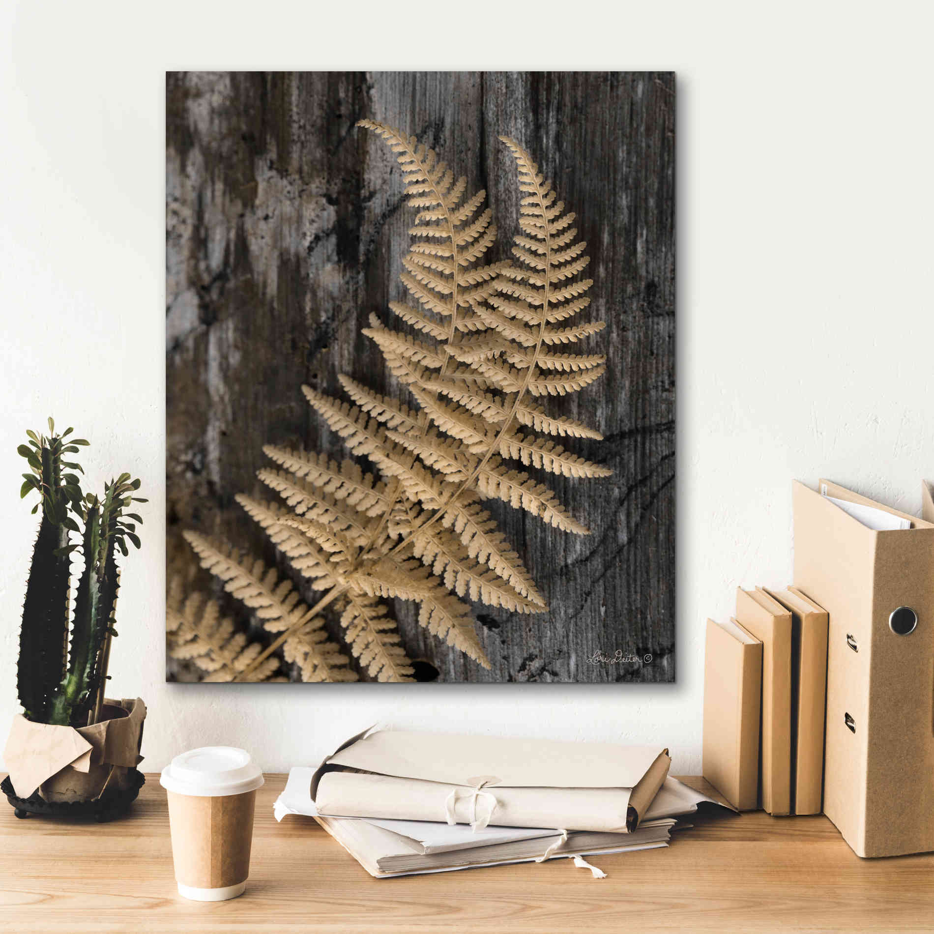 'Natural Gold Fern' by Lori Deiter, Canvas Wall Art,20 x 24