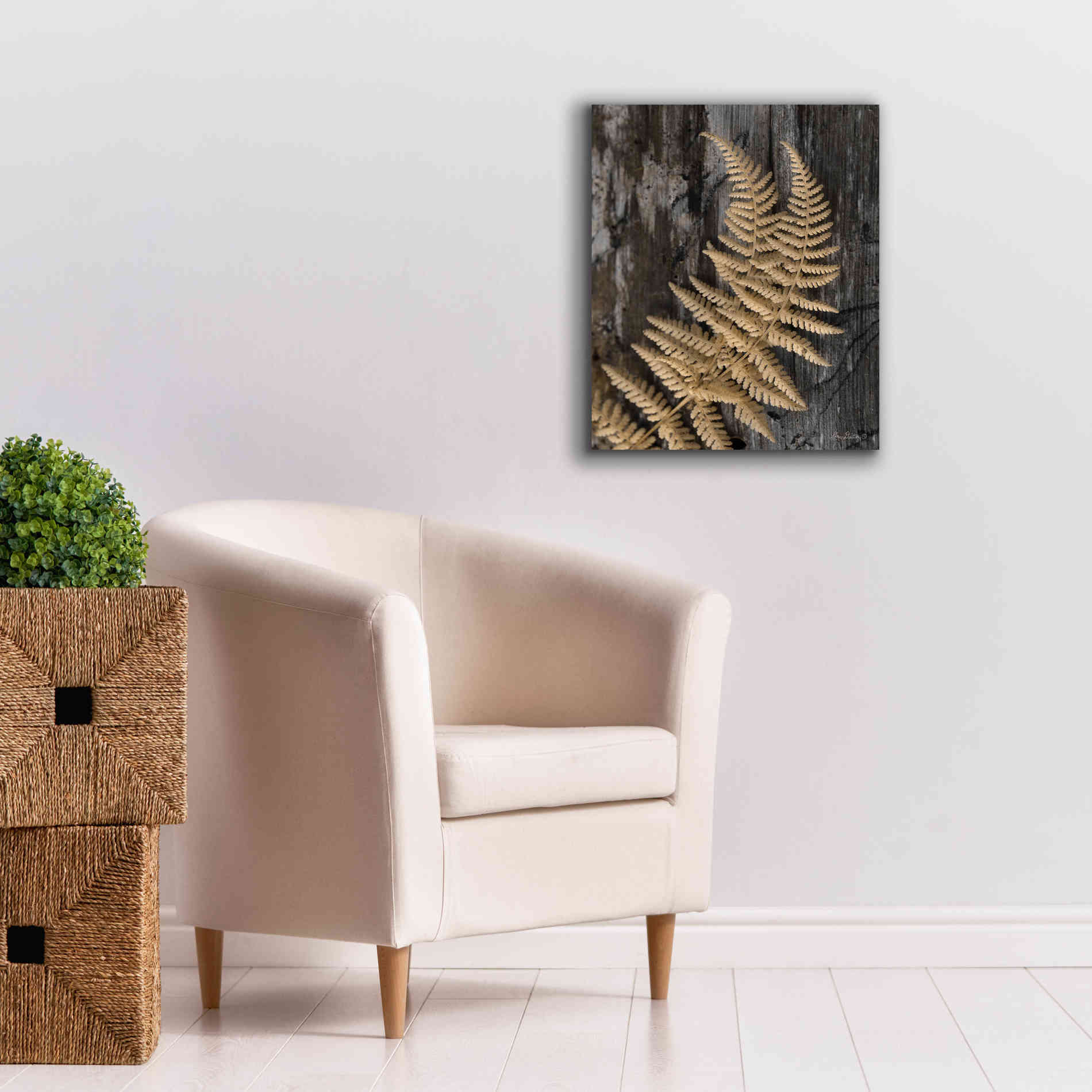 'Natural Gold Fern' by Lori Deiter, Canvas Wall Art,20 x 24