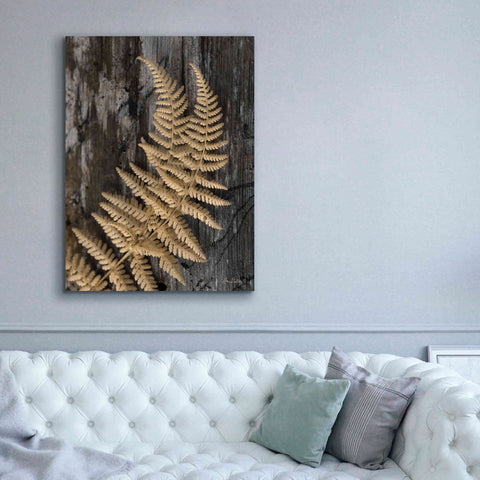Image of 'Natural Gold Fern' by Lori Deiter, Canvas Wall Art,40 x 54