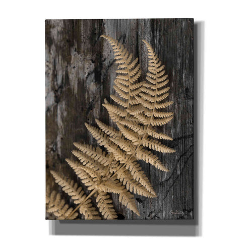 Image of 'Natural Gold Fern' by Lori Deiter, Canvas Wall Art