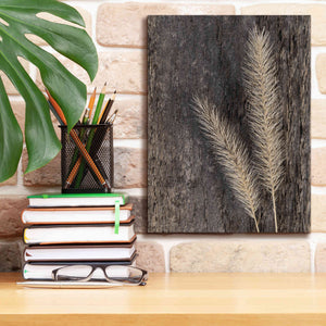 'Natural Wheat' by Lori Deiter, Canvas Wall Art,12 x 16