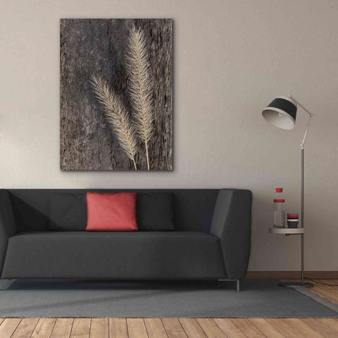 Image of 'Natural Wheat' by Lori Deiter, Canvas Wall Art,40 x 54