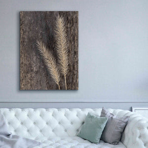 'Natural Wheat' by Lori Deiter, Canvas Wall Art,40 x 54
