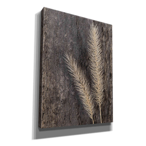 Image of 'Natural Wheat' by Lori Deiter, Canvas Wall Art