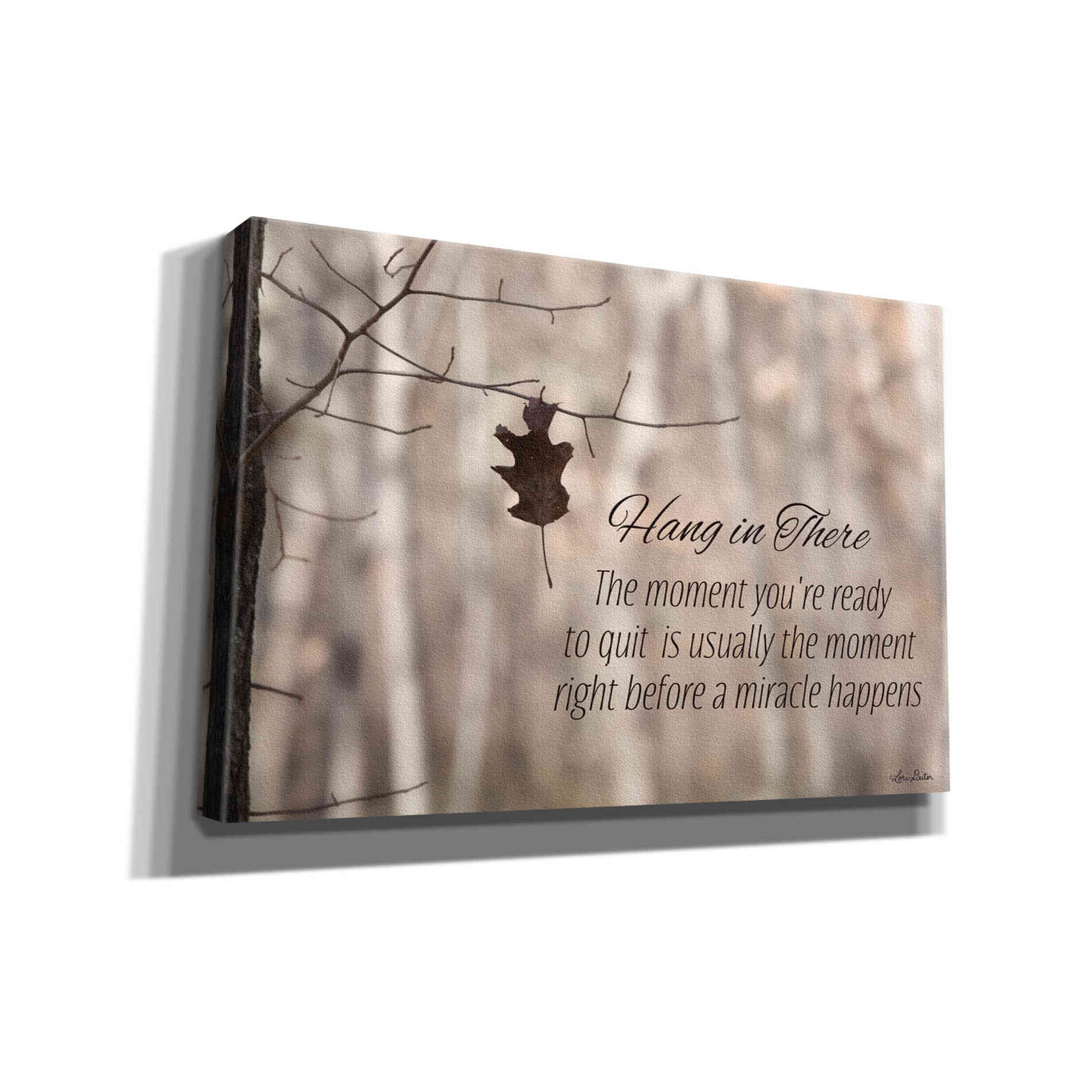 'Hang in There' by Lori Deiter, Canvas Wall Art
