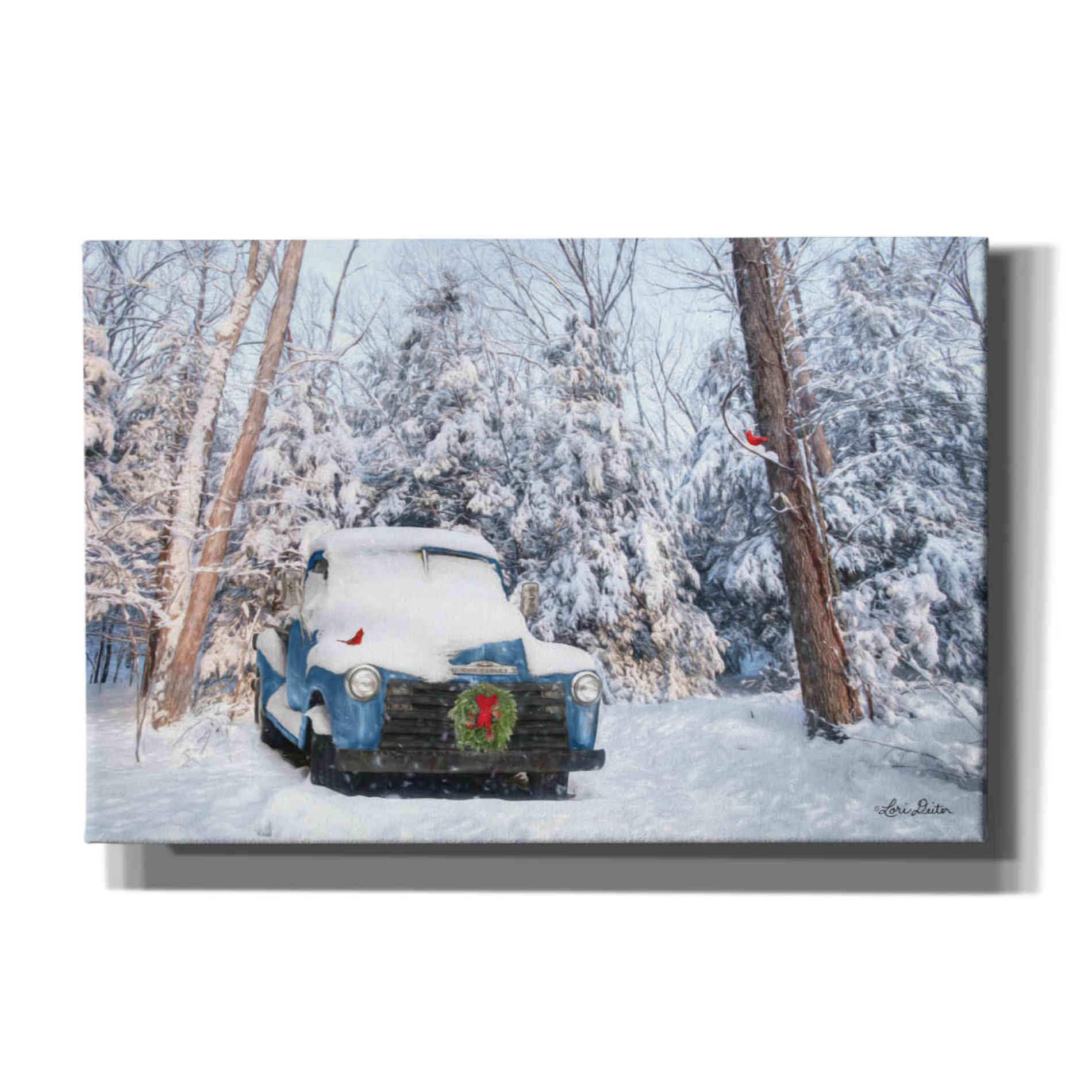 'Winter Storage' by Lori Deiter, Canvas Wall Art