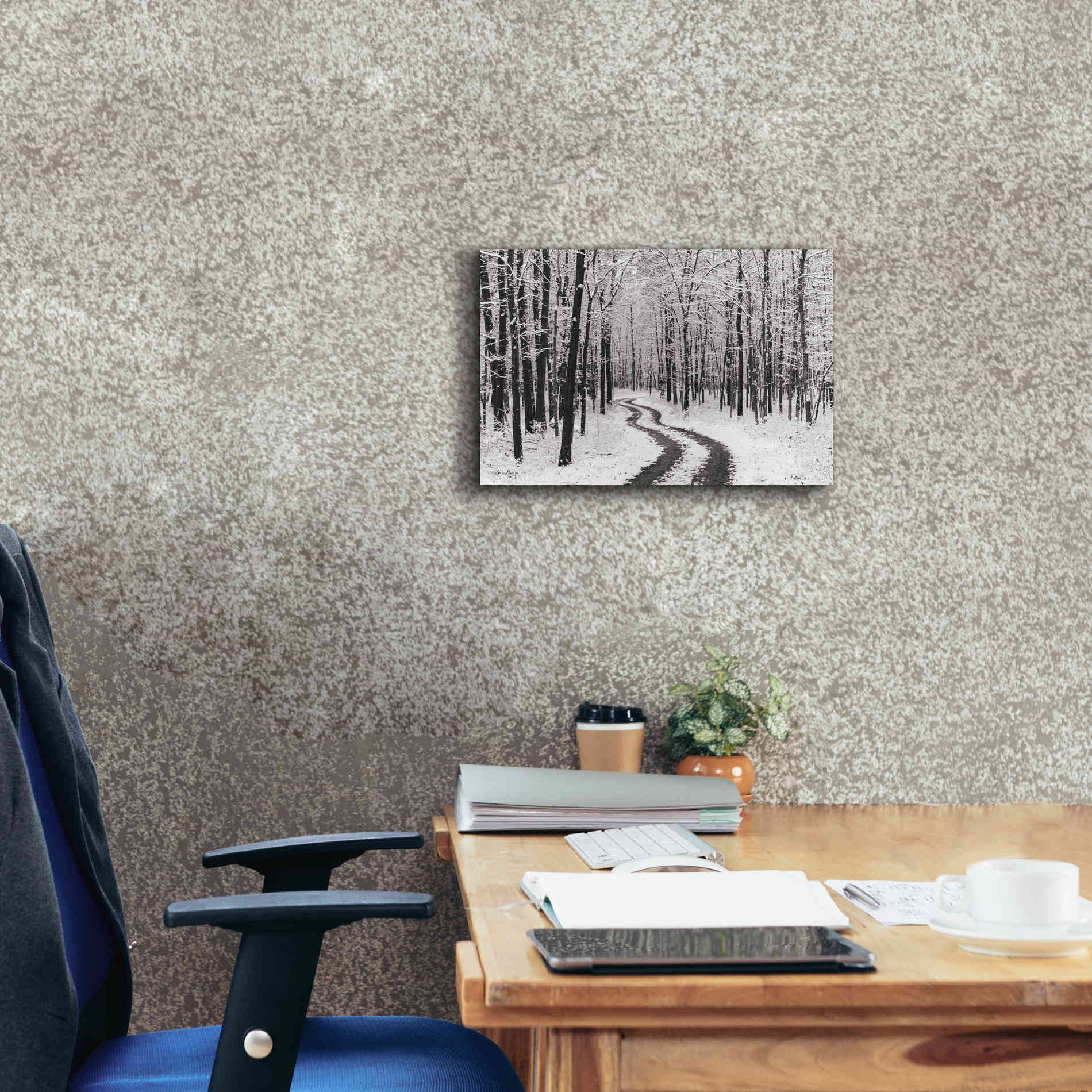 'Snowy Road' by Lori Deiter, Canvas Wall Art,18 x 12