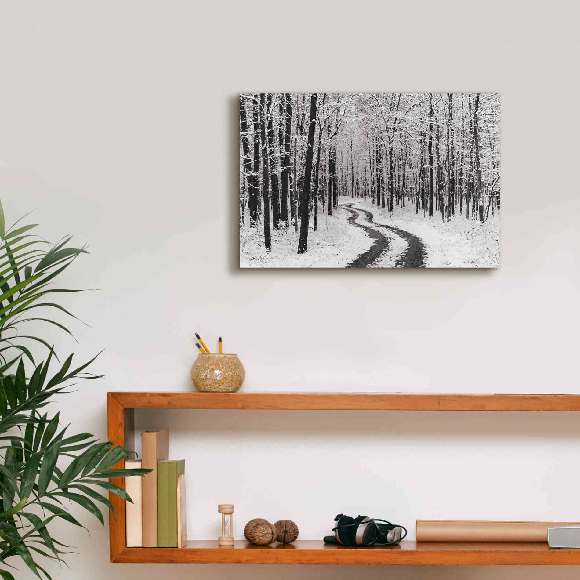 'Snowy Road' by Lori Deiter, Canvas Wall Art,18 x 12