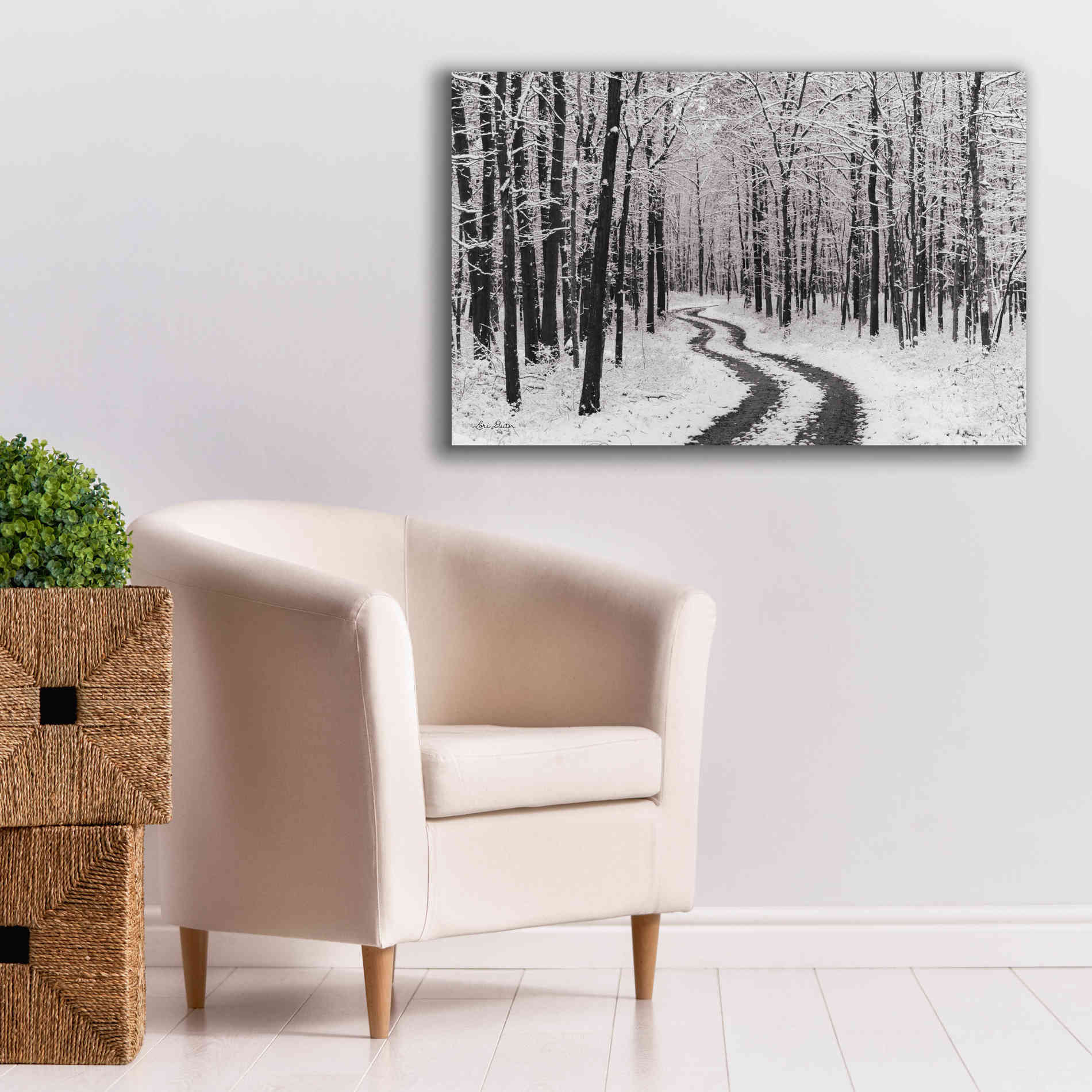 'Snowy Road' by Lori Deiter, Canvas Wall Art,40 x 26