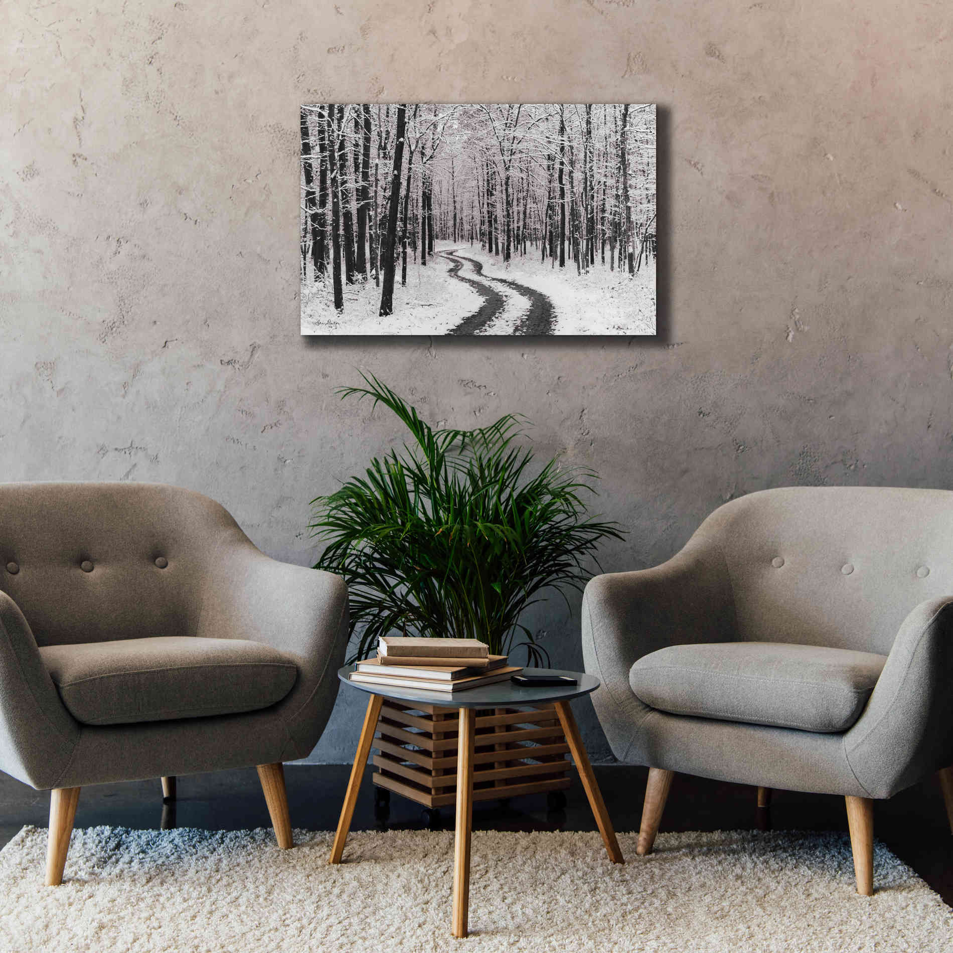 'Snowy Road' by Lori Deiter, Canvas Wall Art,40 x 26