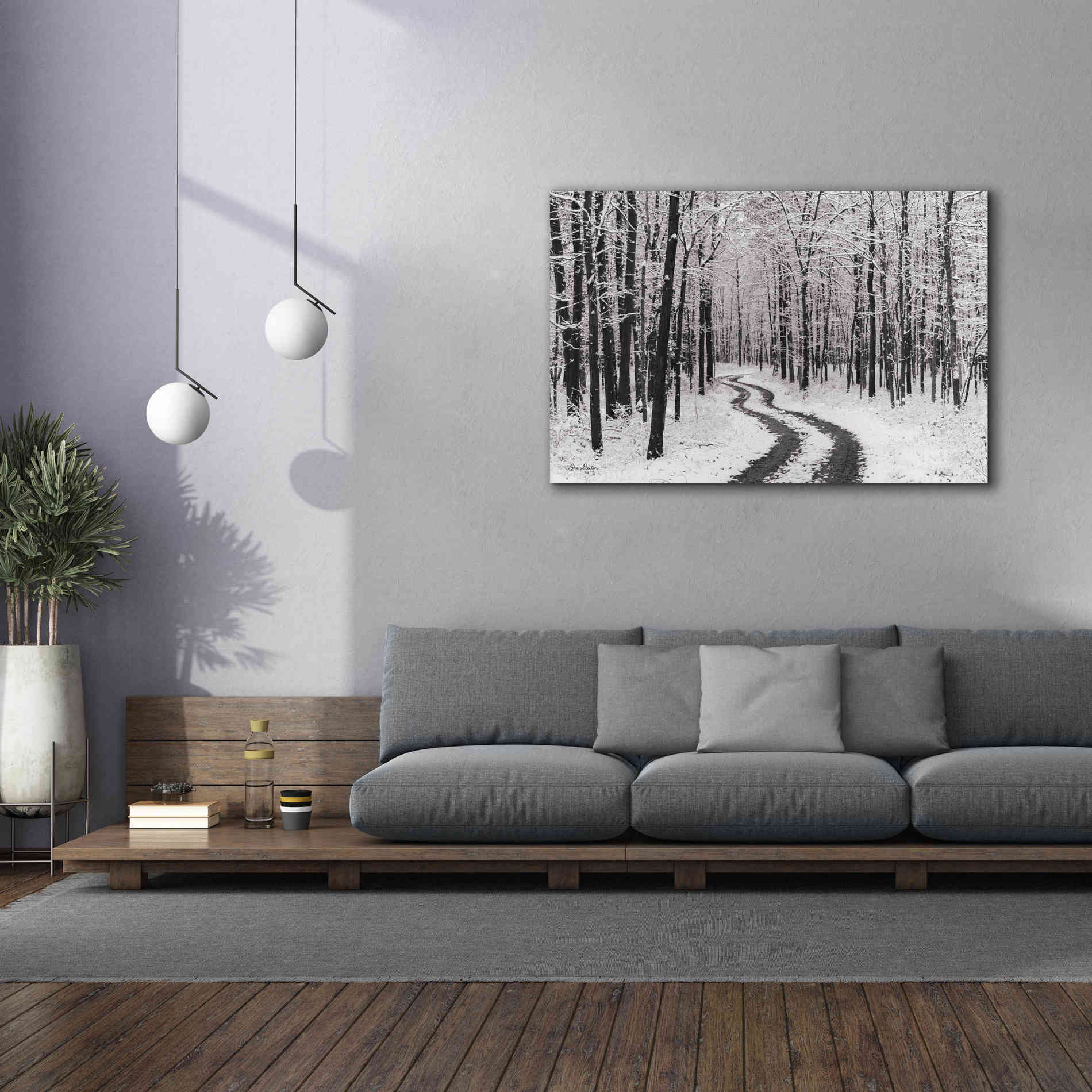 'Snowy Road' by Lori Deiter, Canvas Wall Art,60 x 40