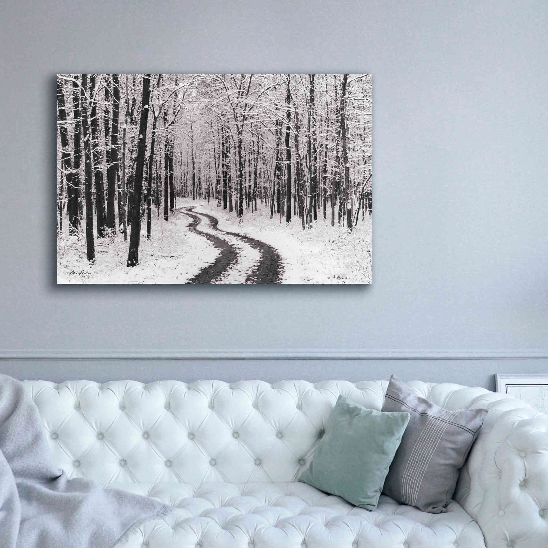 'Snowy Road' by Lori Deiter, Canvas Wall Art,60 x 40