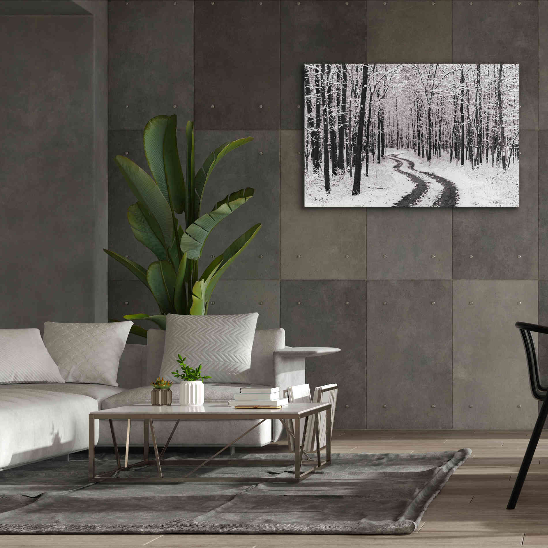 'Snowy Road' by Lori Deiter, Canvas Wall Art,60 x 40