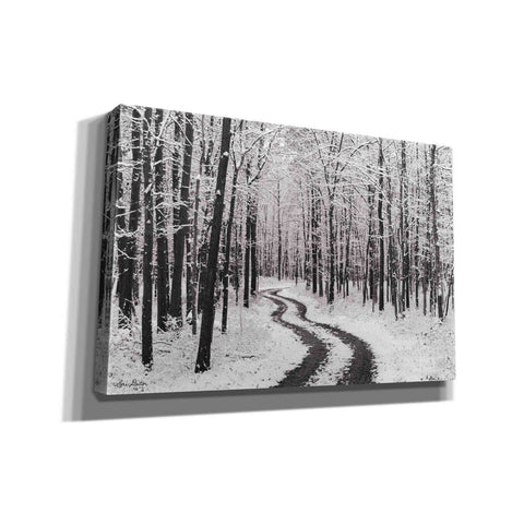 Image of 'Snowy Road' by Lori Deiter, Canvas Wall Art