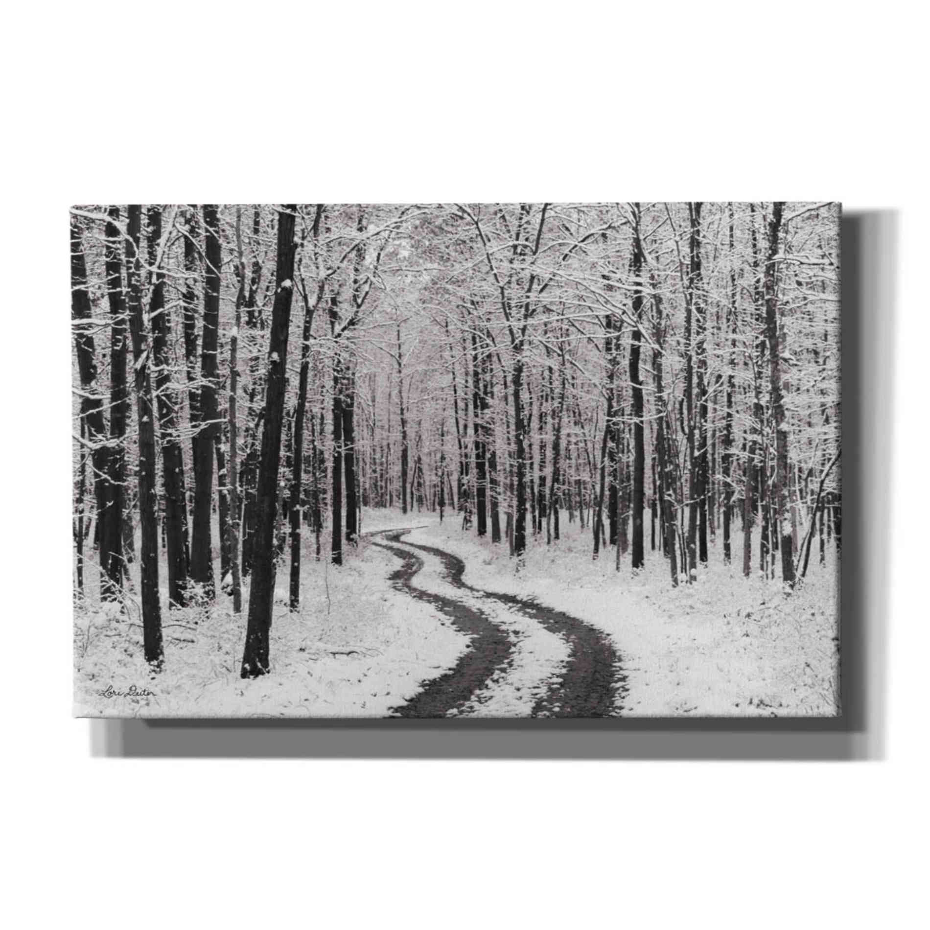 'Snowy Road' by Lori Deiter, Canvas Wall Art