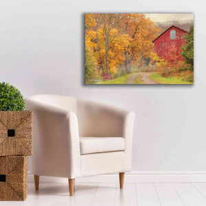 'Hidden Barn' by Lori Deiter, Canvas Wall Art,40 x 26