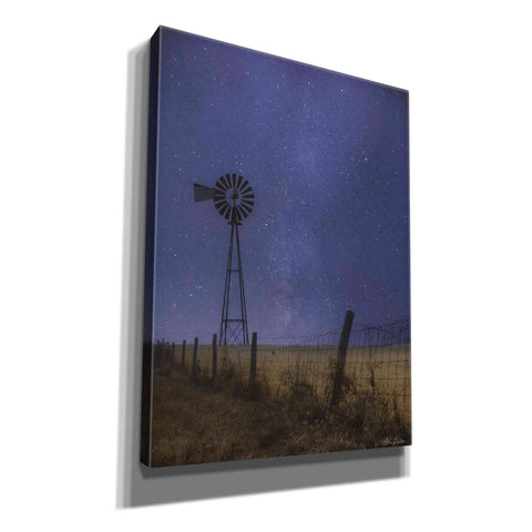 Image of 'Starlit Night' by Lori Deiter, Canvas Wall Art