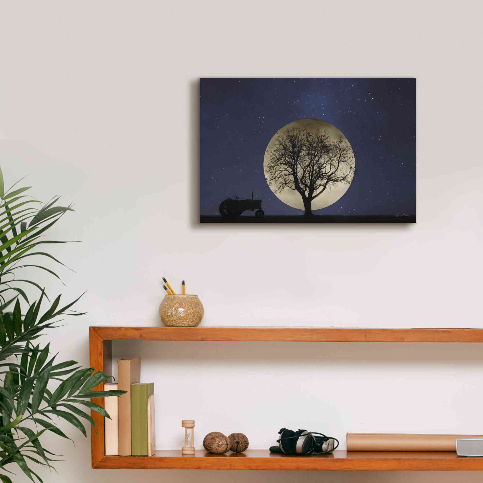 'Full Moon Country Night' by Lori Deiter, Canvas Wall Art,18 x 12