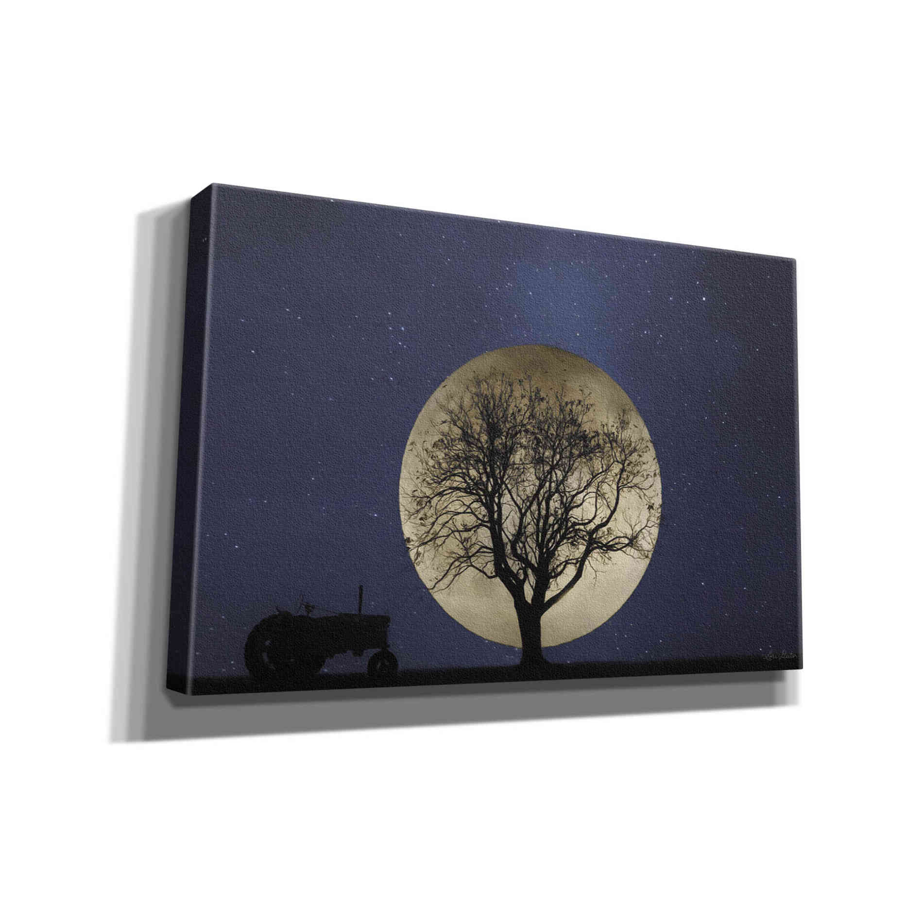 'Full Moon Country Night' by Lori Deiter, Canvas Wall Art